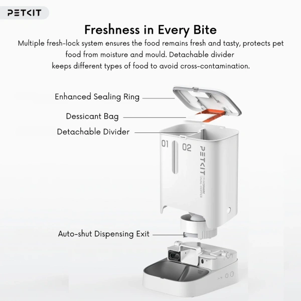 my-11134207-7r98s-lvjtz0fxci2ka3