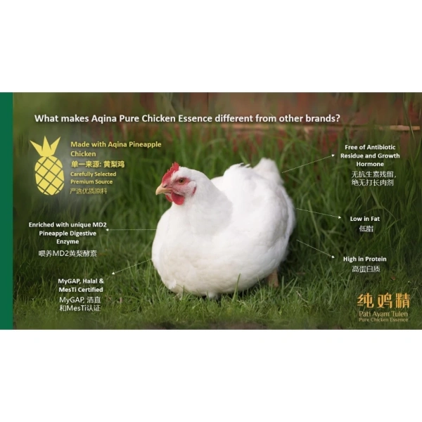 my-11134207-7r98y-lr2ppxvxxtyvfe